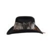 Chapeau Country Plume