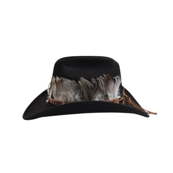 Chapeau Country Plume