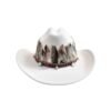 Chapeau Country Plume Blanc