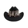 Chapeau Country Plume Noir