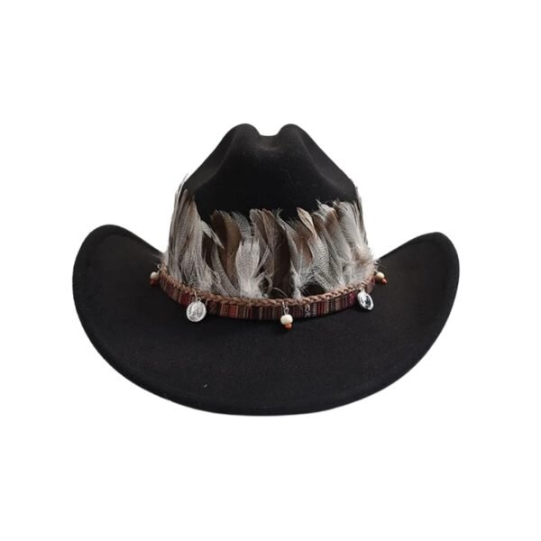 Chapeau Country Plume Noir