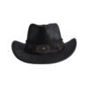 Chapeau Western Buffalo