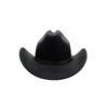 Chapeau de Cowboy à Boucle