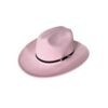 Chapeau de Cowboy à Boucle Rose